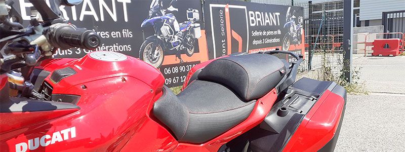 Sellerie BRIANT